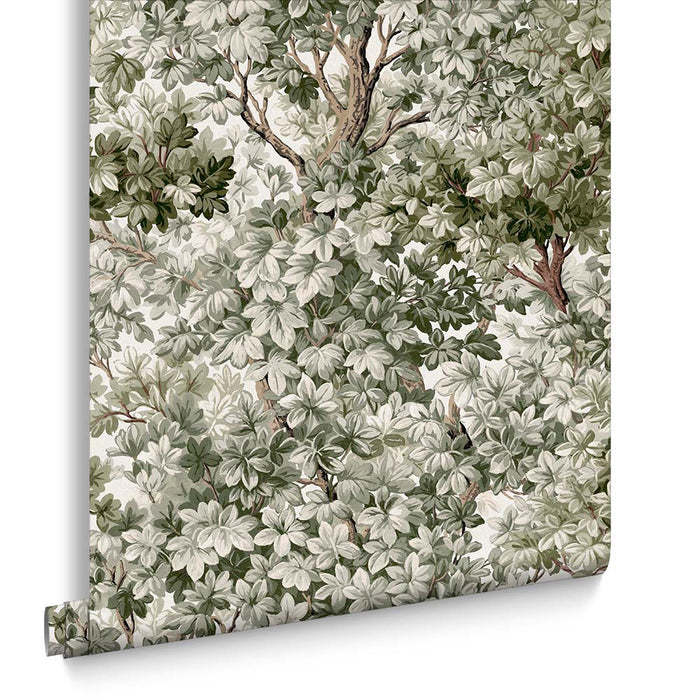 Graham & Brown vliesbehang Coppice Sage