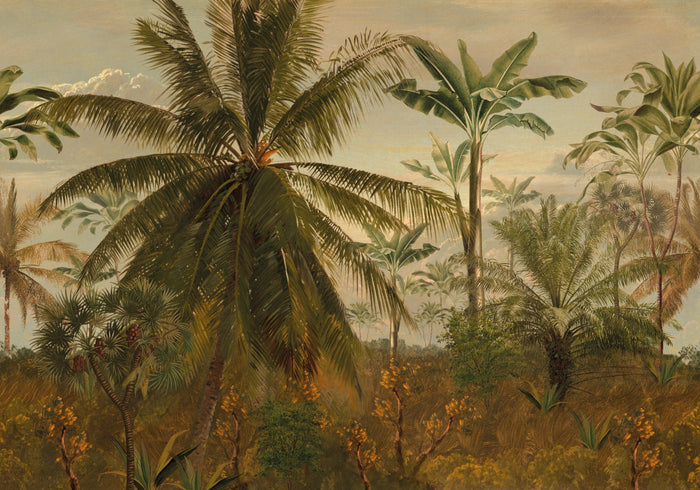 LOOKS by Wolfgang Joop Fotobehang Jungle Mornignsun 270x350cm