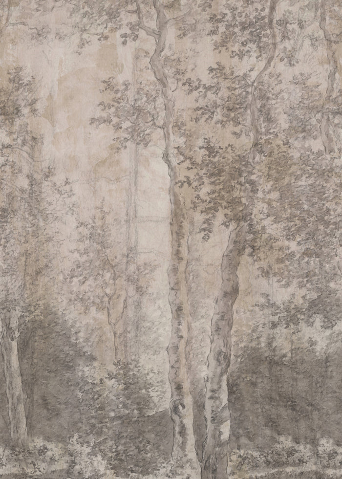 LOOKS by Wolfgang Joop Fotobehang Berkenbomen 270x200cm