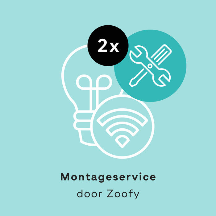 2x Installatie Phillips Hue - Door Zoofy in samenwerking met fonQ