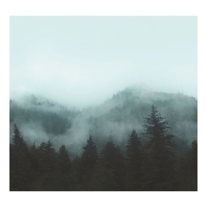 Art for the Home - Fotobehang - Scandinavisch - 280x300 cm