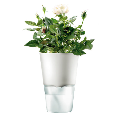 Eva Solo Kruidenpot Ø 11 cm