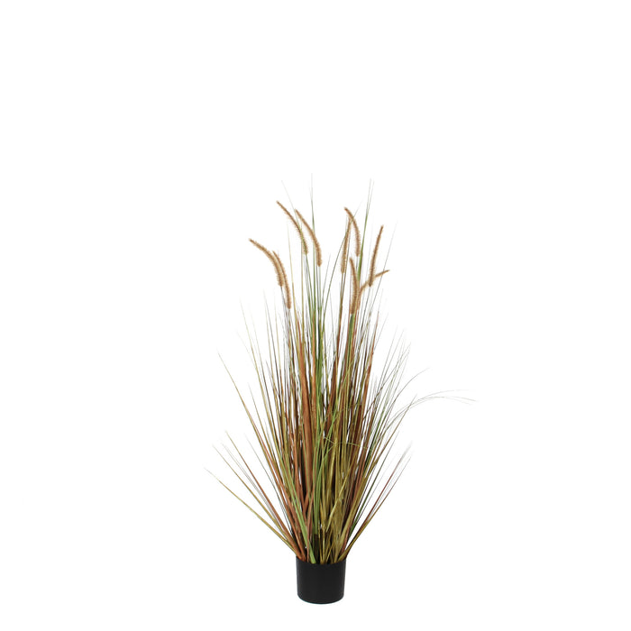 Mica Decorations Pluimgras Dogtail Kunstplant H92 cm
