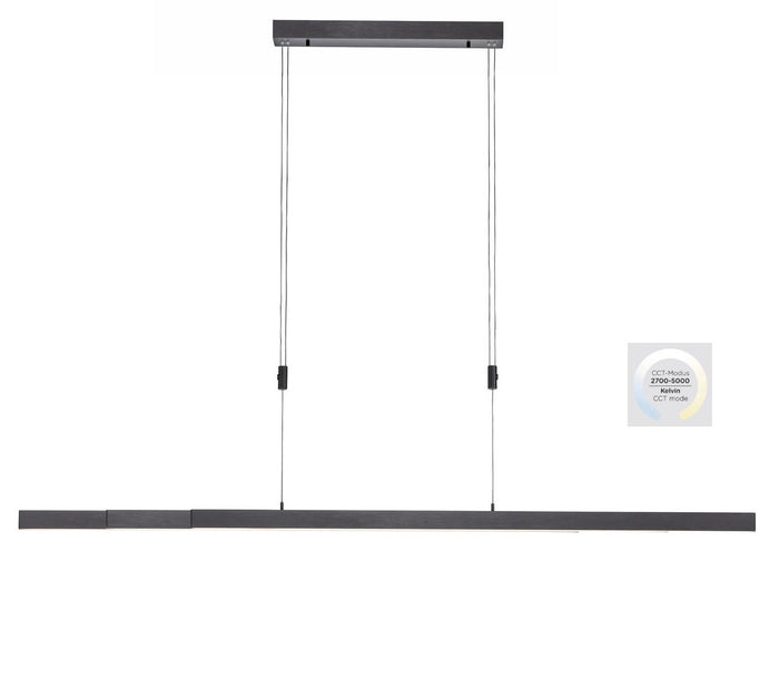 Paul Neuhaus Paul Neuhaus Adriana Hanglamp Antraciet L120-180cm