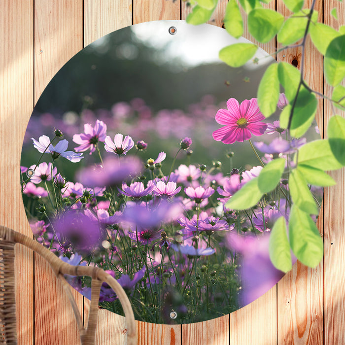 Sweet Living - Ronde Tuinposter Cosmea Bloemen- B100 x L100 cm