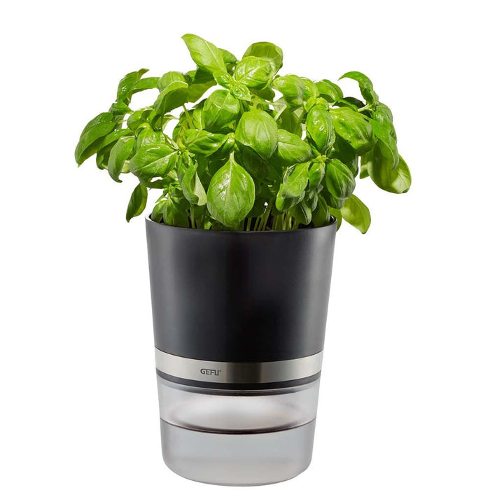 Kruidenpot Botanico - Gefu