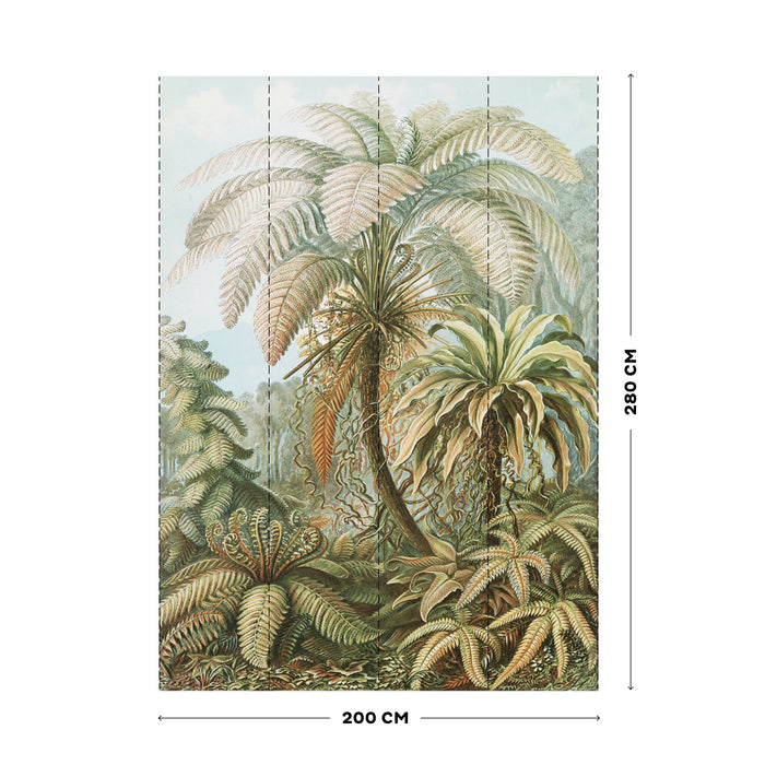 Art for the Home Jungle Filicinae Fotobehang 280x200 cm