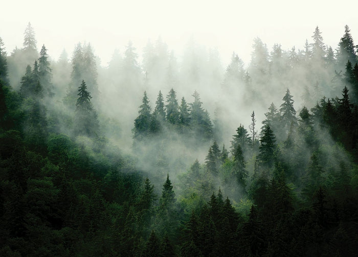Sanders & Sanders fotobehang berglandschap met bomen groen - 3,75 x 2,