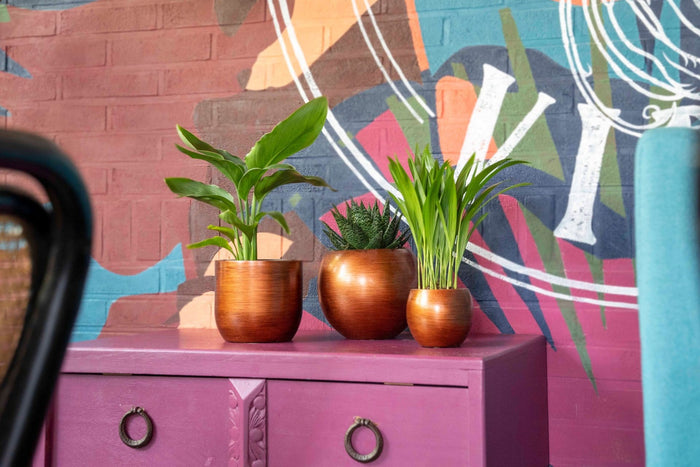 76df0fdf-093e-4c74-9d00-478c1c00ef34-sfeerbeeld.jpg (7805454)