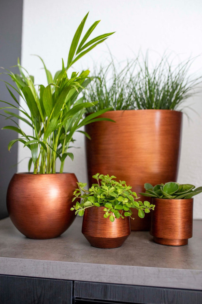 76df0fdf-093e-4c74-9d00-478c1c00ef34-afbeelding4.jpg (7805456)