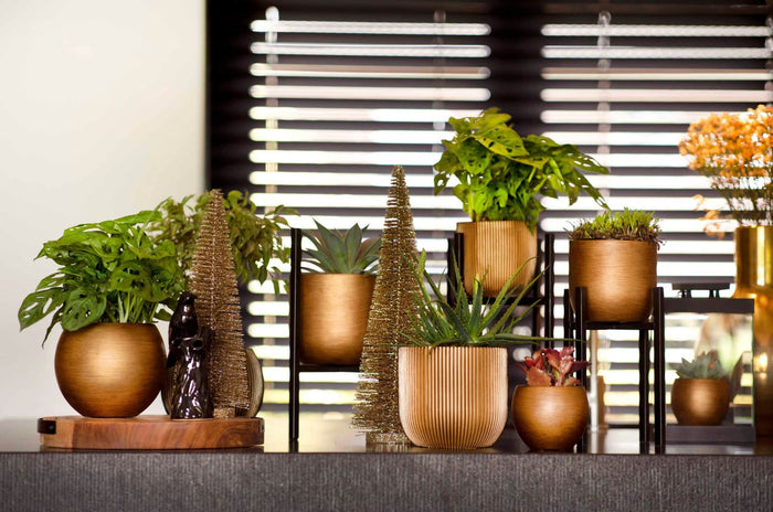 76df0fdf-093e-4c74-9d00-478c1c00ef34-afbeelding5.jpg (7805457)