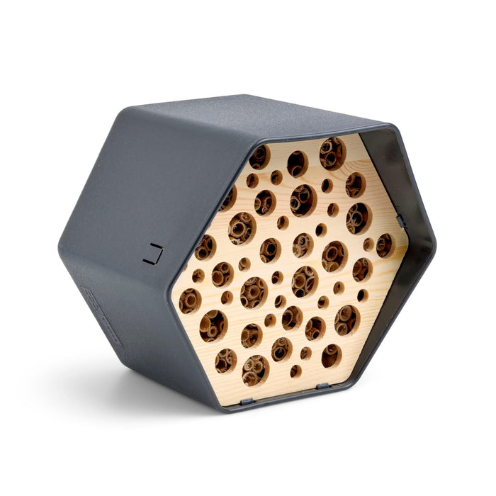 Capi Europe Bijenhotel Hive - 19x23x20 - Antraciet