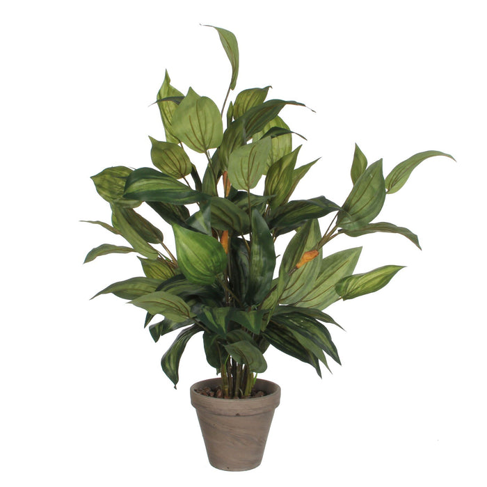 Mica Decorations Hosta Kunstplant - H65 x Ø40 cm - Groen
