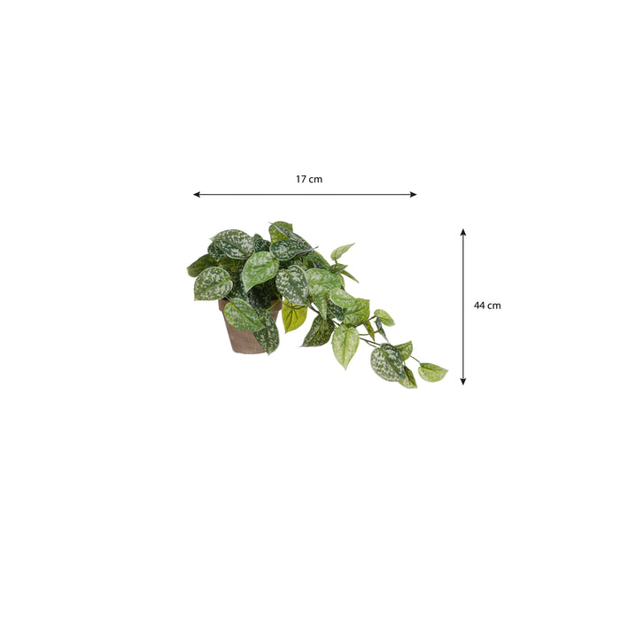 Mica Decorations Scindapsus Kunstplant - H44 x Ø17 cm - Groen