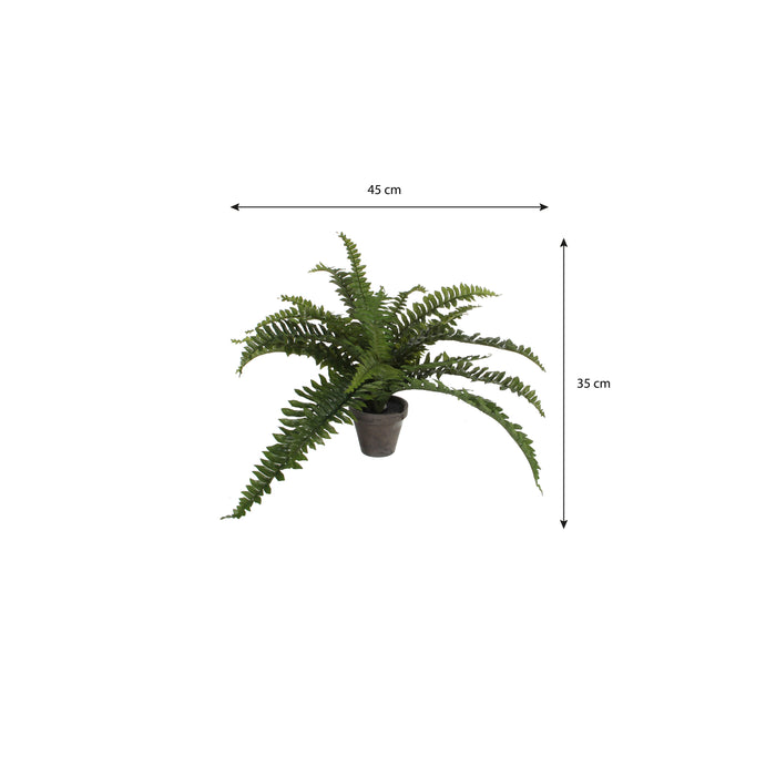 Mica Decorations Boston Varen Kunstplant - H35 x Ø45 cm - Groen