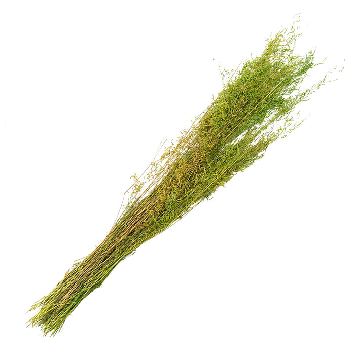 7a9393de-4a9d-4342-987b-8decdc7fdd34-afbeelding10.jpg (10365520) 