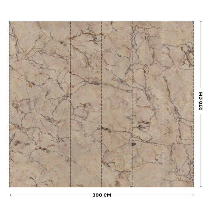 LOOKS by Wolfgang Joop Fotobehang Marble roze 270x300cm