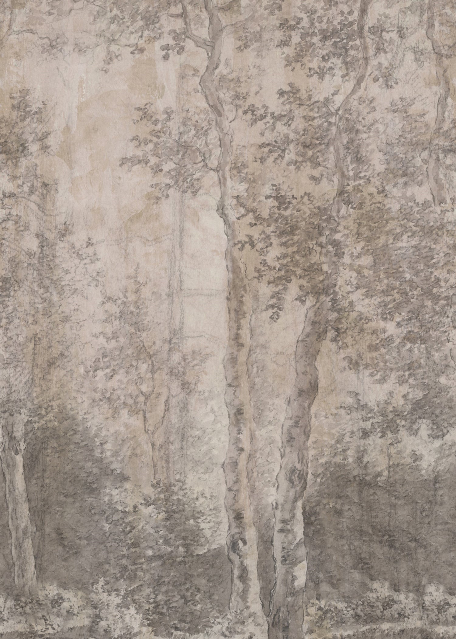 LOOKS by Wolfgang Joop Fotobehang Berkenbomen 270x200cm