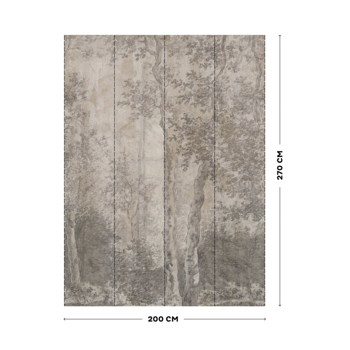 LOOKS by Wolfgang Joop Fotobehang Berkenbomen 270x200cm
