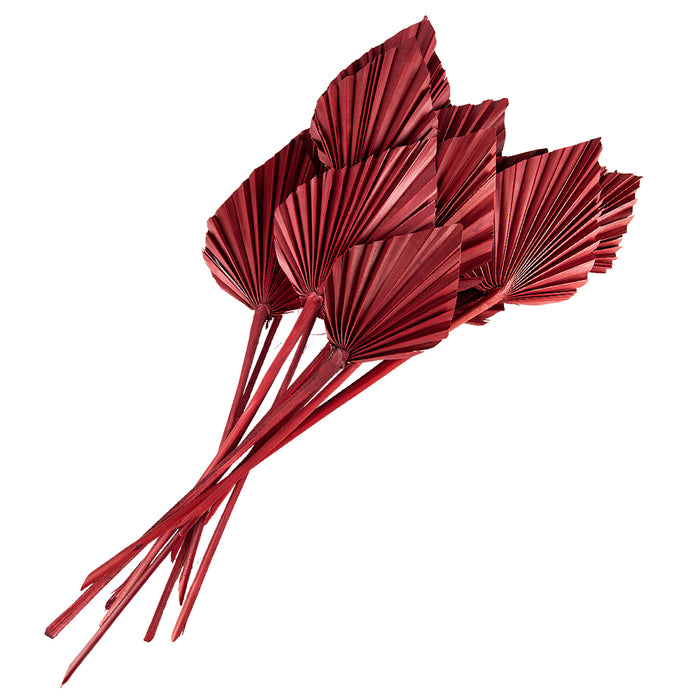 94a49db7-fa24-4d70-825b-1e0a3abf31bf-afbeelding3.jpg (10441019) 