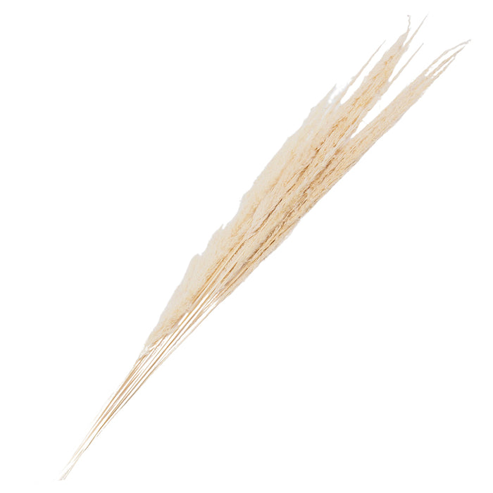 b2a7eaca-89b0-4982-94a7-5a4d0c0be758-afbeelding3.jpg (10442135) 