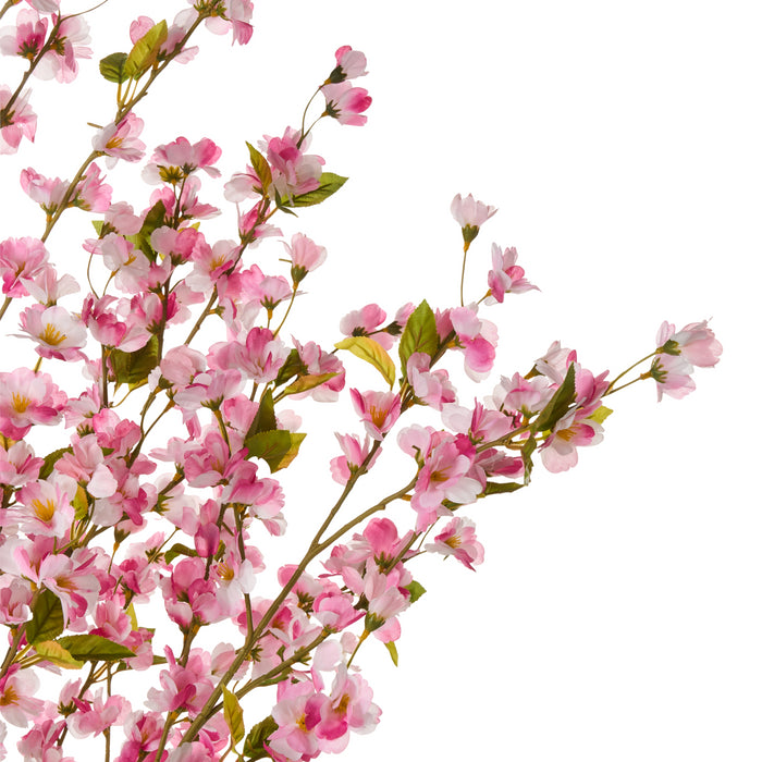 845e7f5e-1c48-4aa4-b917-49c69b80d275-afbeelding3.jpg (10455046) 