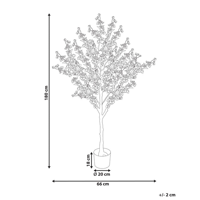 fd269304-71a3-4807-ba49-320adc716e47-afbeelding11.jpg (10455378) 