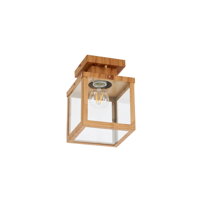 QAZQA Industriële buitenplafondlamp hout met helder glas - Rotterdam