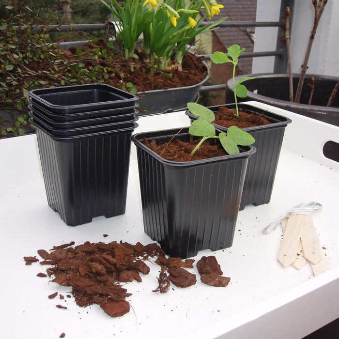 Nature Starterskit Kweekset