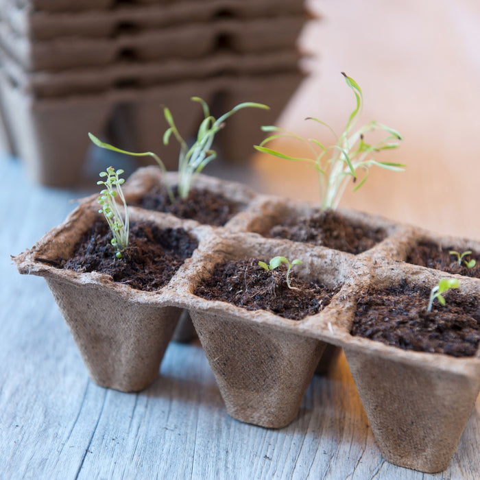 Nature Starterskit Kweekset
