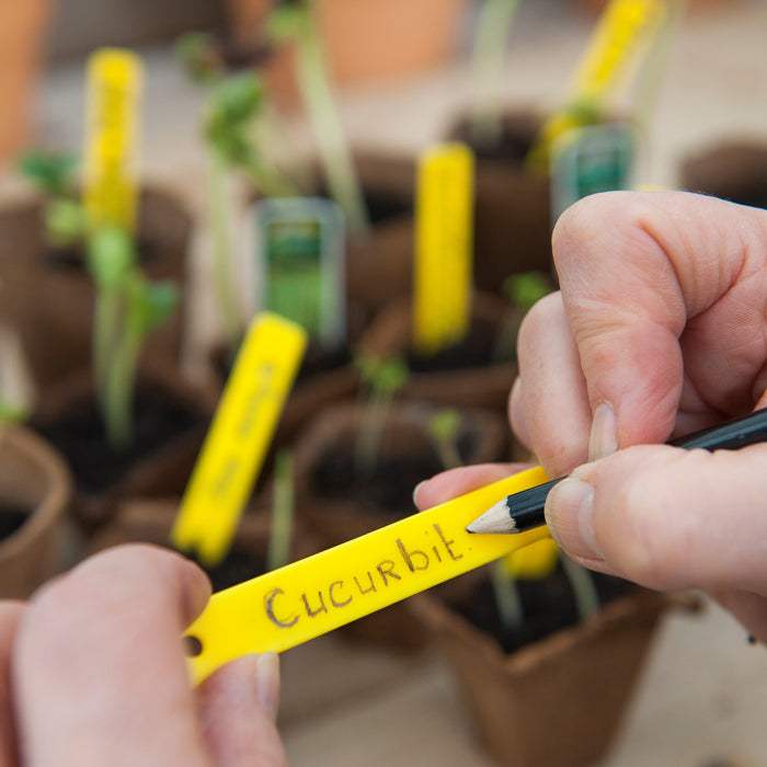 Nature Starterskit Kweekset