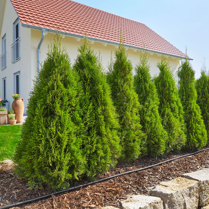 Gardena MicroDrip Rijplanten Startset M