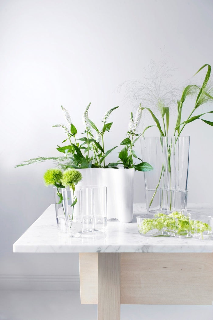Iittala Aalto Finlandia 25,1 cm