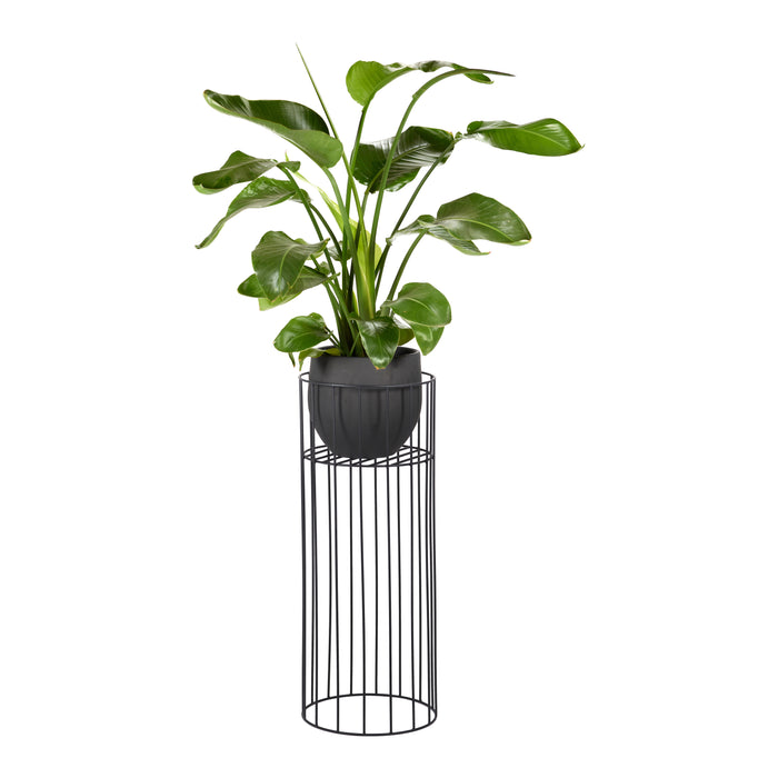 SERAX - Plantenstandaard Vasaro M