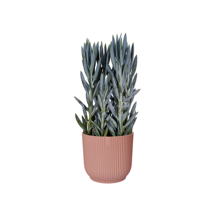 306273-x04.png (1700532) 