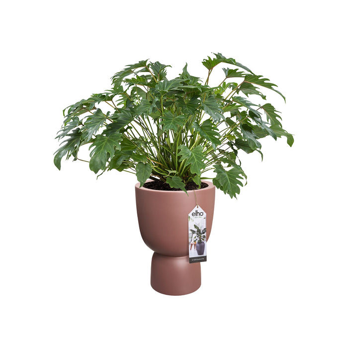 elho Pure Coupe Bloempot Ø 41 cm - Rosy Brown