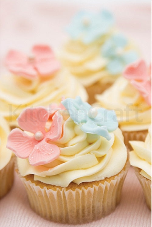 MasterClass - Bakvorm voor 6 cupcakes - Masterclass