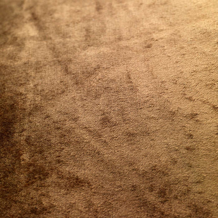 e1180596-3e51-4961-a121-d6250f6ecde5-afbeelding3.jpg (1897658) 
