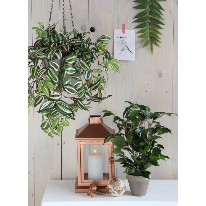Mica Decorations Ficus Natasja Kunstplant in Bloempot H40 cm