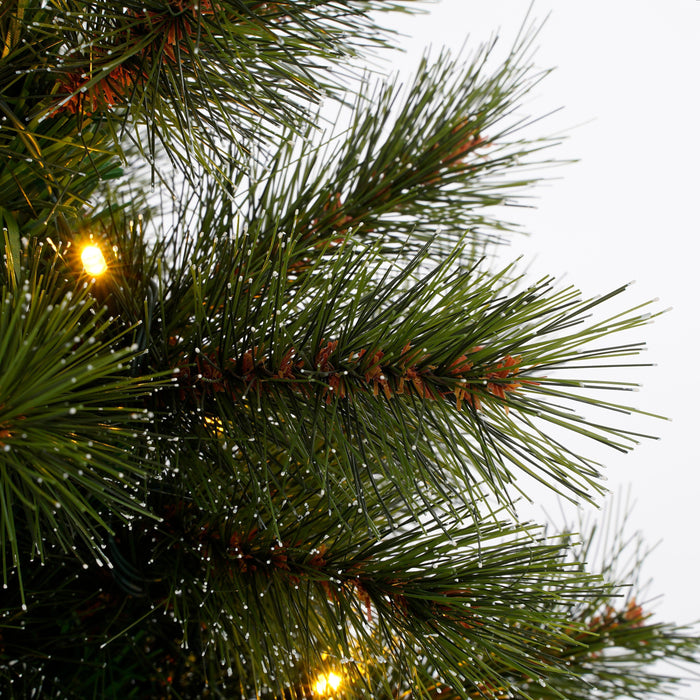 Black Box Trees Glendon Kunstkerstboom in Pot met Verlichting - H60cm