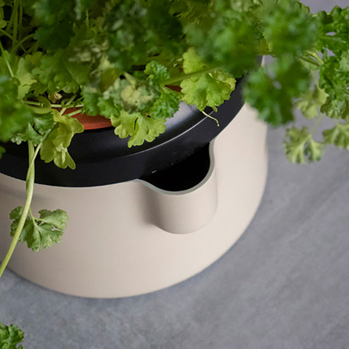 Gusta TerraCotcha Kruidenplanter 1 Pot