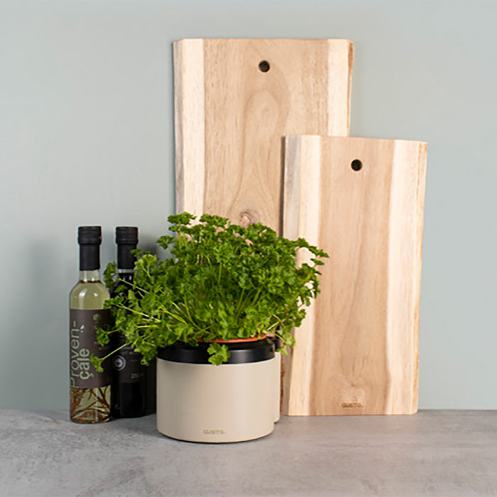 Gusta TerraCotcha Kruidenplanter 1 Pot