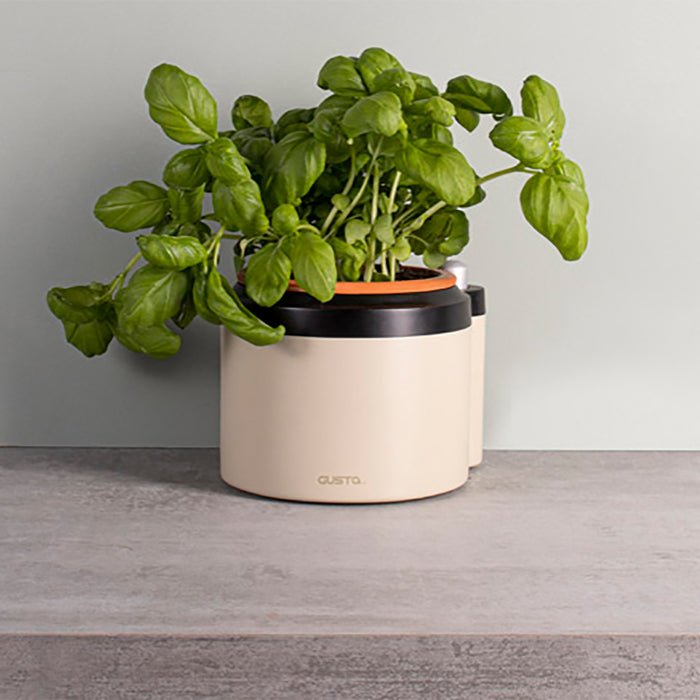 Gusta TerraCotcha Kruidenplanter 1 Pot