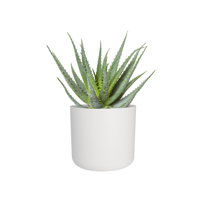 217465-2.png (2543940) 