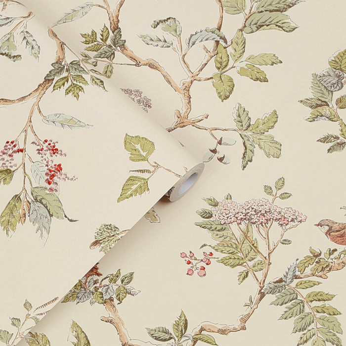 Laura Ashley Elderwood Behang - Planten - 10mx52cm - Beige