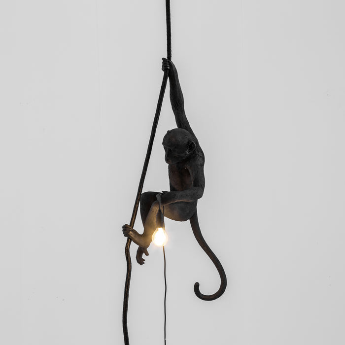 Seletti Monkey Outdoor Lampresin Aan Touw