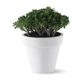 Elho Pure Round Bloempot 120 cm Wit