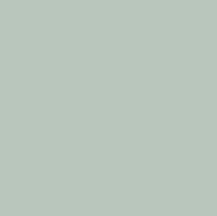 Graham & Brown Matte Muurverf Saliegroen Magnol 2,5L