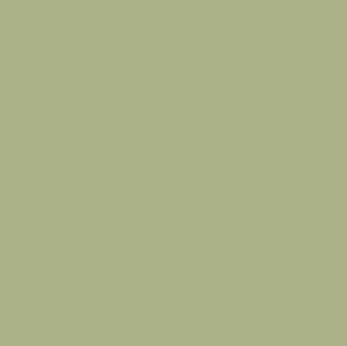 Graham & Brown Testerpot Matte Muurverf So Swamped 100ml