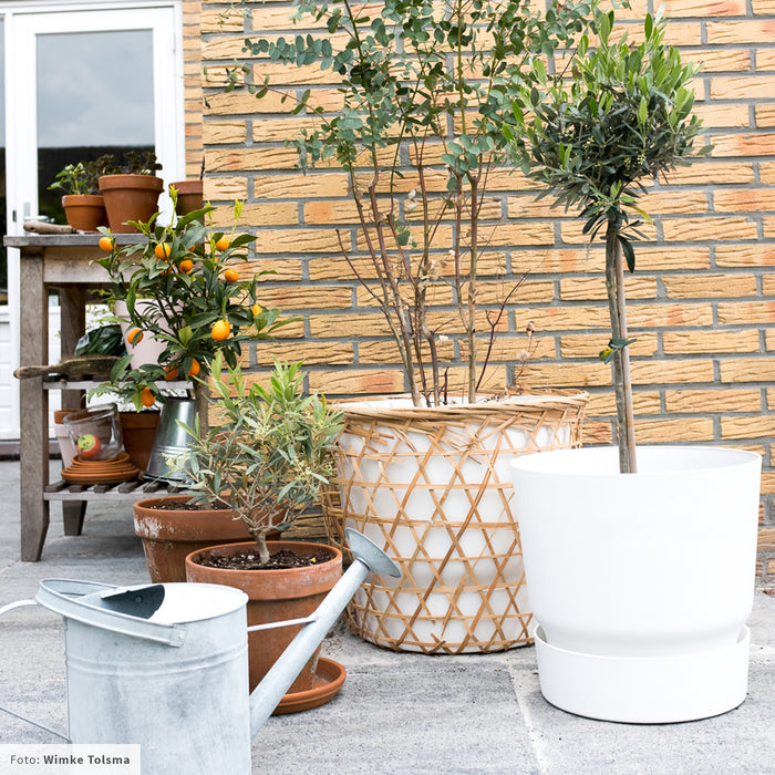 elho Greenville Bloempot 40 cm